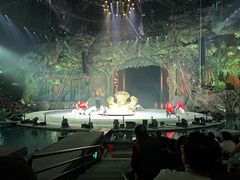 -广州长隆国际大马戏