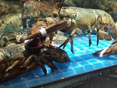 -大张烙馍村(泉山店)