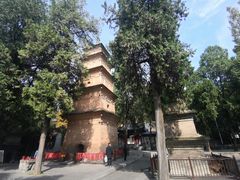 -兴教寺