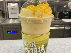 -茉酸奶(春熙路店)