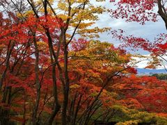 -常寂光寺