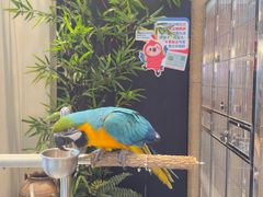-大潮淮·淮扬菜(何园旗舰店)