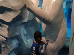 -芜湖新华联大白鲸海洋公园