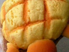 椰子海龟-多乐之日(五道口店)
