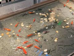 -四季民福烤鸭店(前门店)