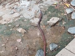 -台山颐和温泉城