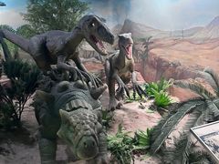 -国家自然博物馆