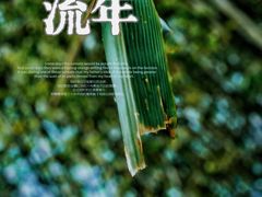 -望江楼公园