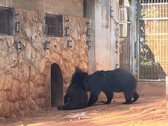-昆明动物园