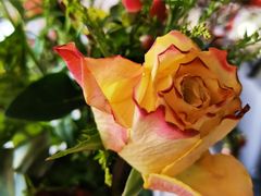 -HAPPEN(江川东路店)