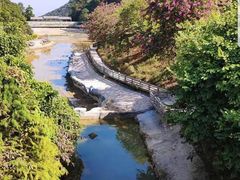 -广州市帽峰山景区