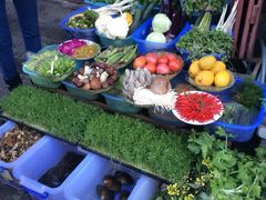 苍洱春饭店-苍洱春饭店