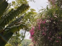 -深圳国际园林花卉博览园