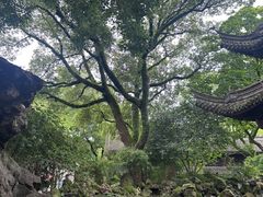 -天一阁博物院