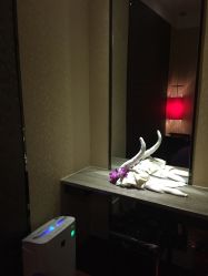 点击看大图 -诗泥SPA