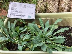 -广州神农草堂中医药博物馆