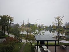 -铁山坪森林公园