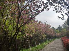 -达蓬山旅游度假区