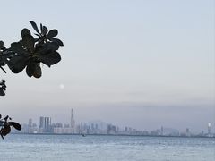 -深圳湾公园(南山区)