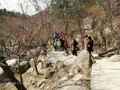-崂山巨峰游览区