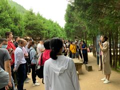 -延安杨家岭革命旧址