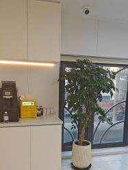 -魔型社烫染店