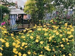 -马帮寨院坝火锅(龙港公园店)