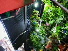 -循礼门鲜花花市(武汉循礼门店)