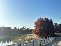-苏州东太湖生态园