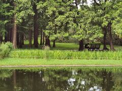 -上海共青森林公园