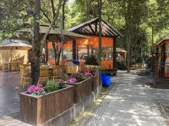 -二荆条·蜀鲜汇城市森林火锅