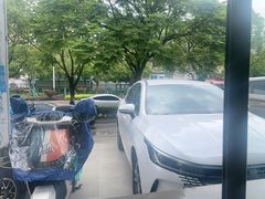 -金塔傣乡·云南民族特色菜·傣味手抓饭(金瓦路店)