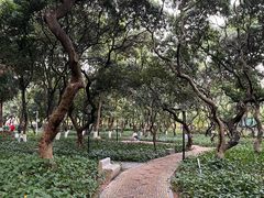 -黄埔荔枝公园
