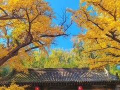 -晋祠公园