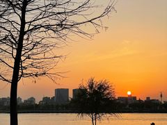 -上海山野camping·户外天幕烧烤·团建拓展营地