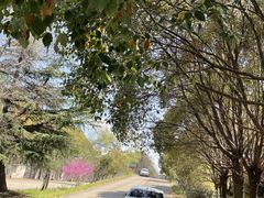 -胜华驾校·小猫学车(银都店)