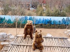 -济南野生动物世界