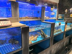 -大鹏饭店·金陵家宴(奥体中心店)