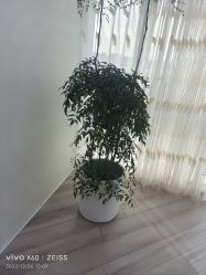 -HEYAN荷妍专业脱毛连锁机构