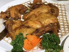 -小贝壳酒楼(经九路店)