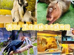 -正佳雨林生态植物园