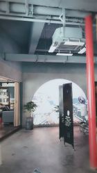 -蚂蚁造型沙龙