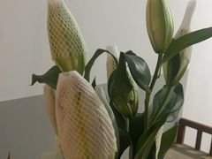 -仙品龙虾(总店)