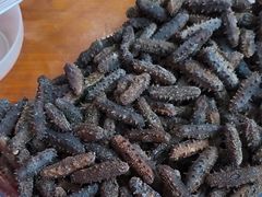 -宫品海参专卖店(静安大宁店)