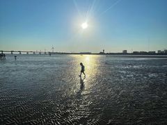 -南汇新城海滩