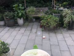 -Dal Cuore 达可芮冰淇淋(陕西北路店)