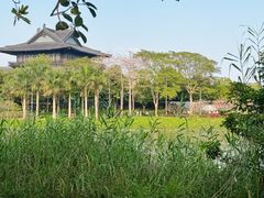 -海珠湖公园