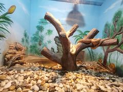 -石家庄市动物园