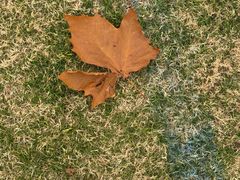 -Riverside河畔少儿足球培训(前滩店)