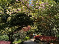 -九龙潭景区